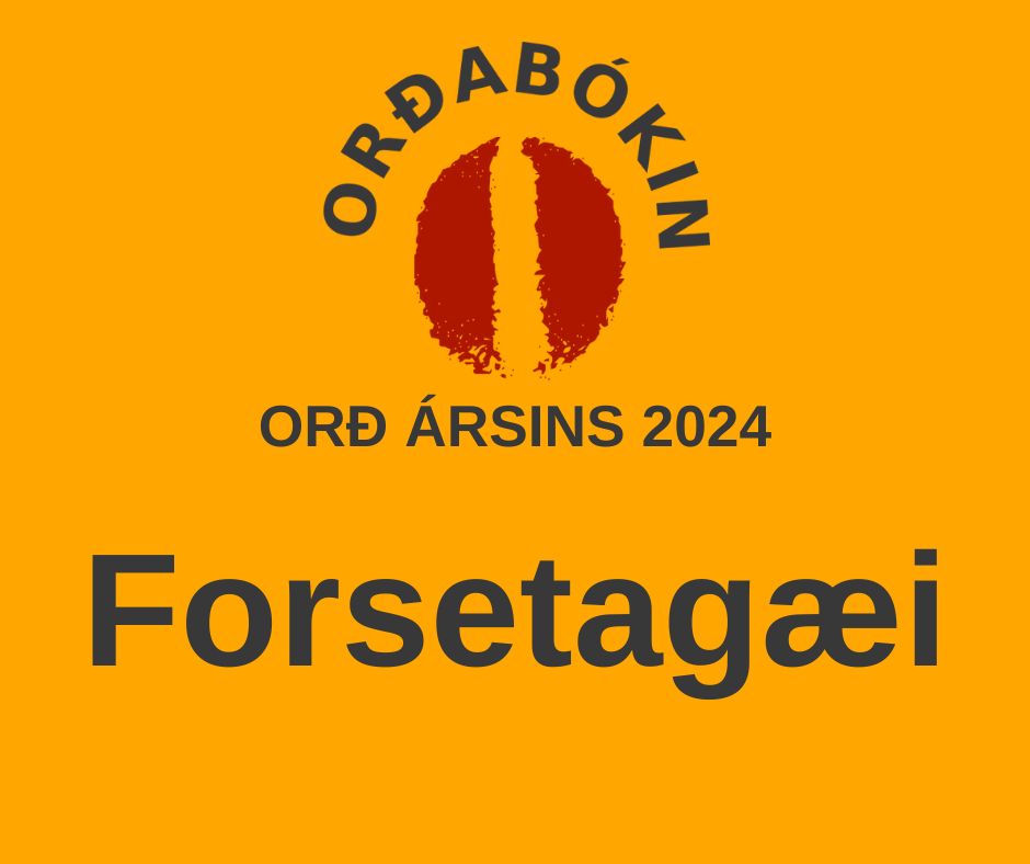 Forsetagæi er orð ársins 2024.